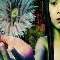 Lifeforms (CD 2)