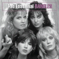 Essential Bangles