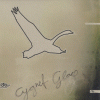 Cygnet Glace (WEB)