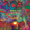 Infinite Soul The Best Of The Grip Weeds