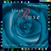 Black Rose